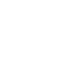 White LinkedIn logo